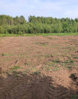 Участок с лесом на берегу Волги